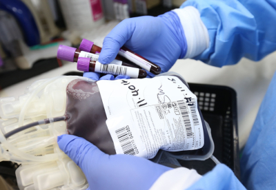 Especialistas alertam para a urgência de dádivas de sangue mais regulares